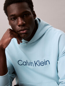 Standard Logo Premium Terry Hoodie, Stratosphere, hi-res