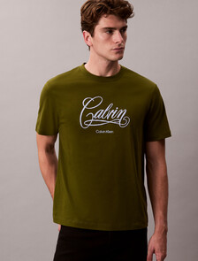 Script Logo Graphic Relaxed T-Shirt, Medieval Forest, hi-res