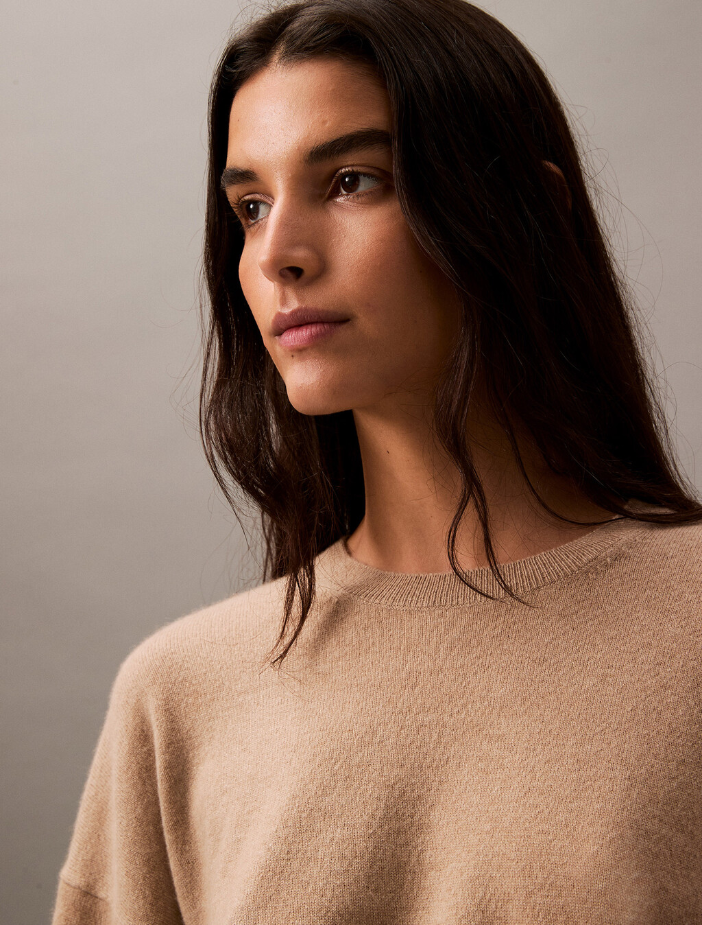 Cashmere Crewneck Sweater, Brindle, hi-res