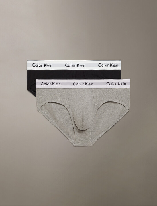 2 Pack Icon Cotton Stretch Hipster Briefs