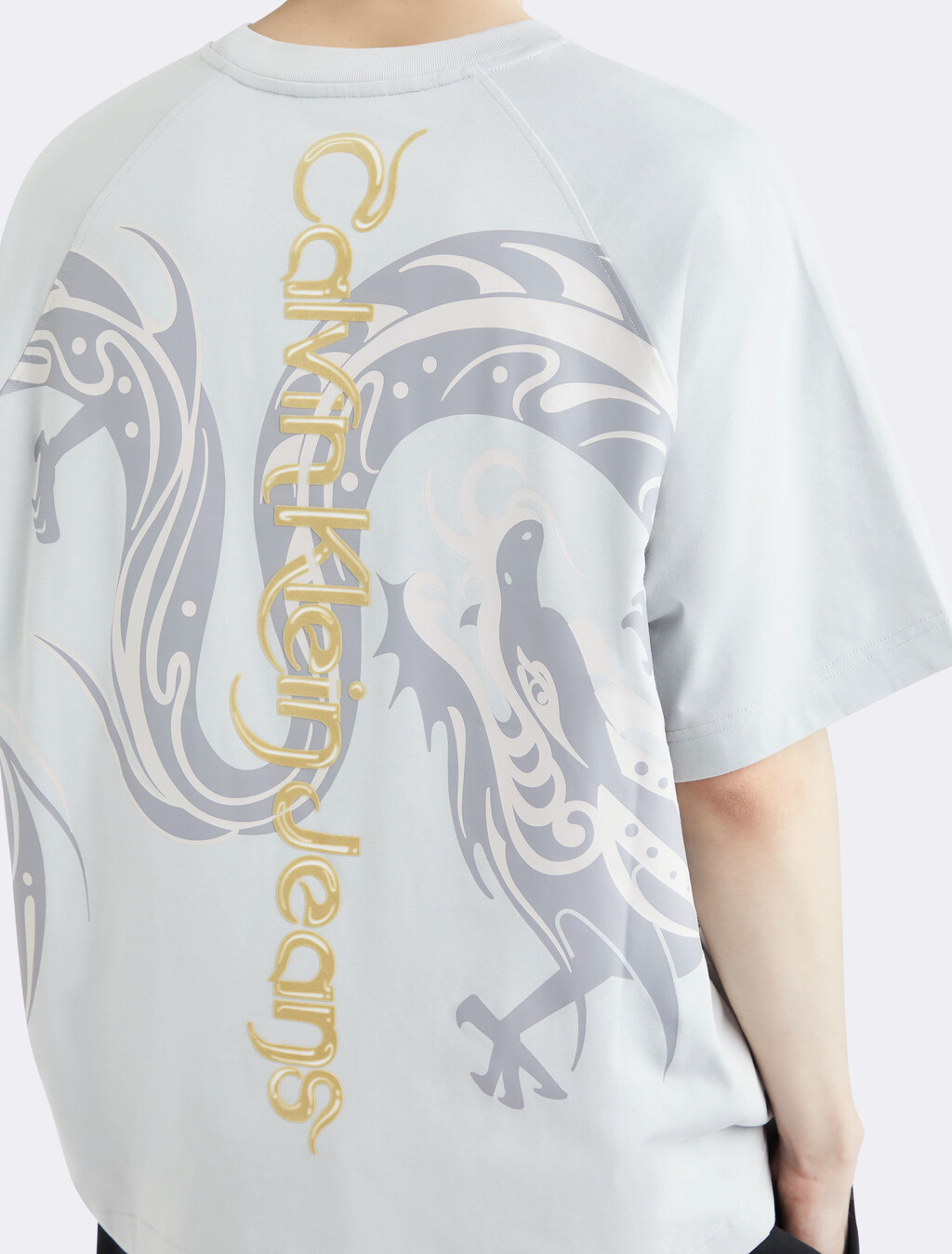 Year of The Dragon T-shirt, Gray Violet, hi-res
