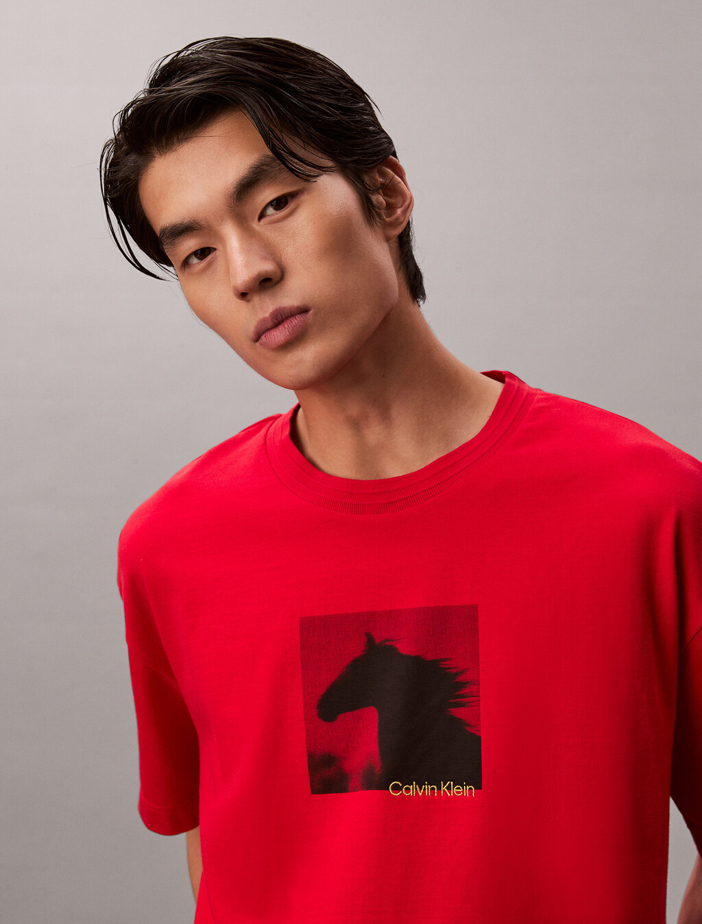 Lunar New Year Heavyweight Jersey Tee, Pantone Red, hi-res