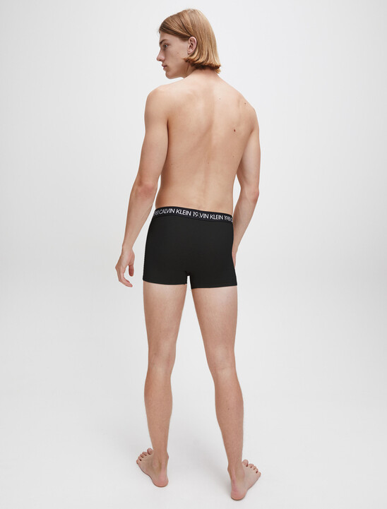 STATEMENT 1981 Trunks