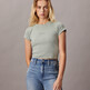 Slate Gray