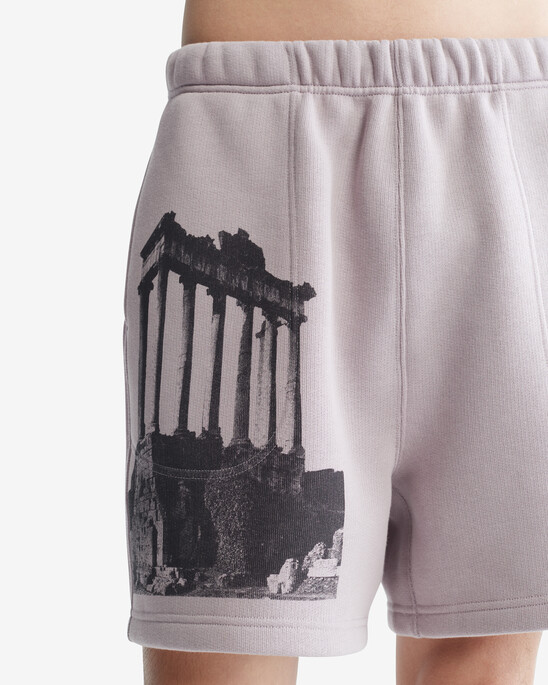 Standards Ruins Graphic Fleece Shorts