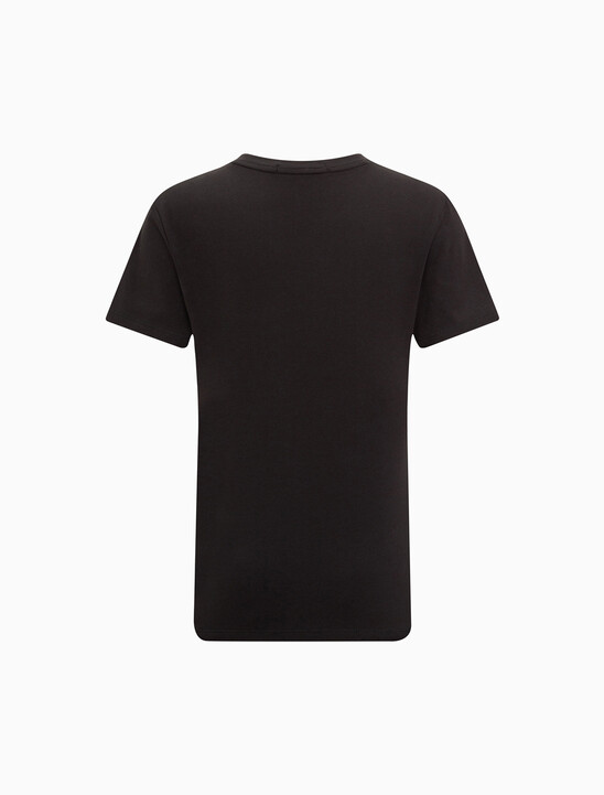 SHRUNKEN INSTITUTIONAL LOGO T 恤