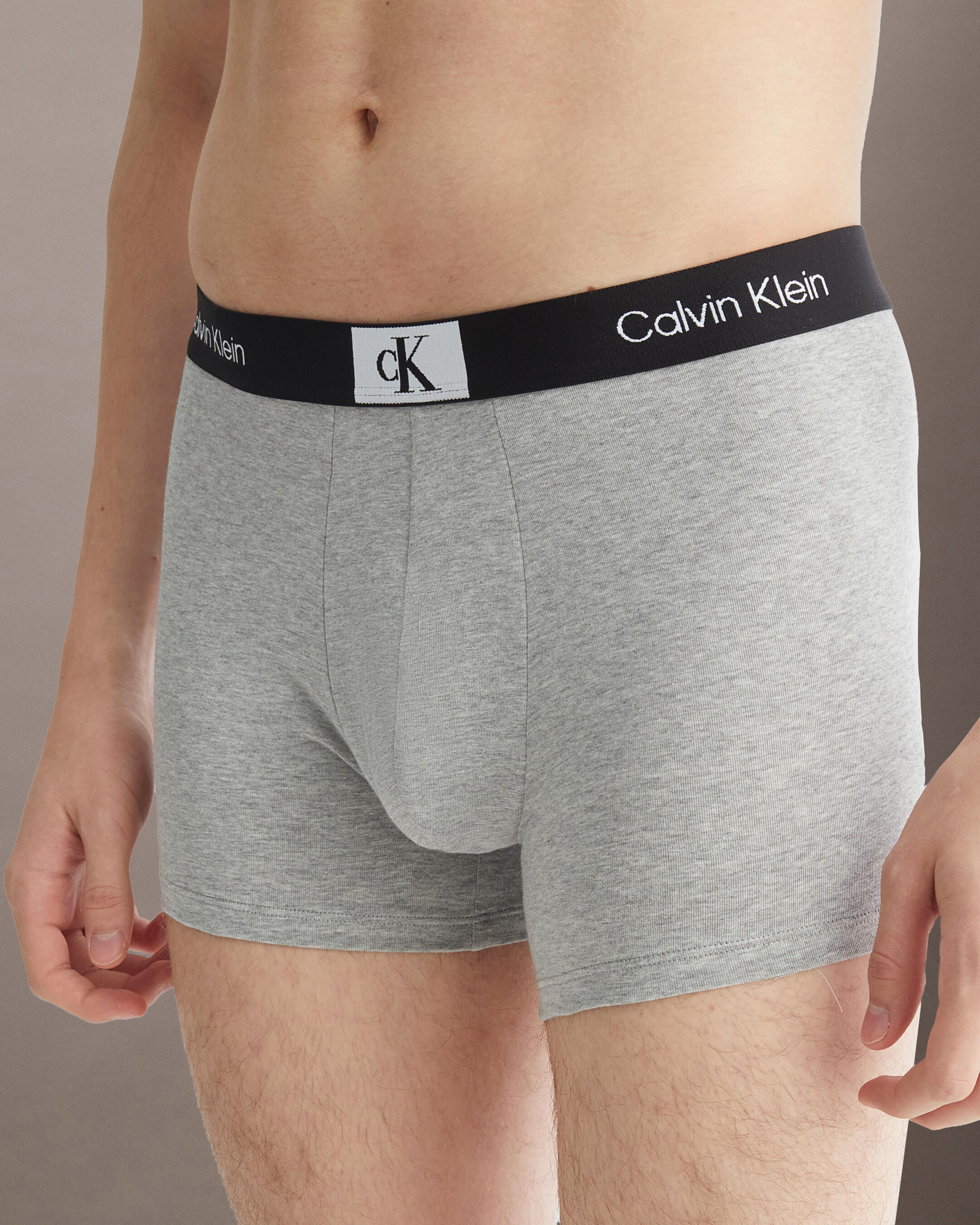 Calvin Klein 1996 Trunks grey Calvin Klein Taiwan