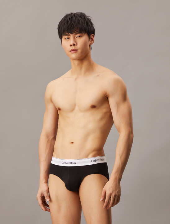 Icon Cotton Stretch Hip Briefs 3 Pack