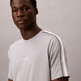 Neutral Gray