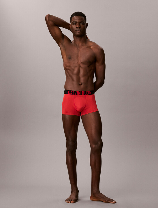 Trunks - Intense Power Pro