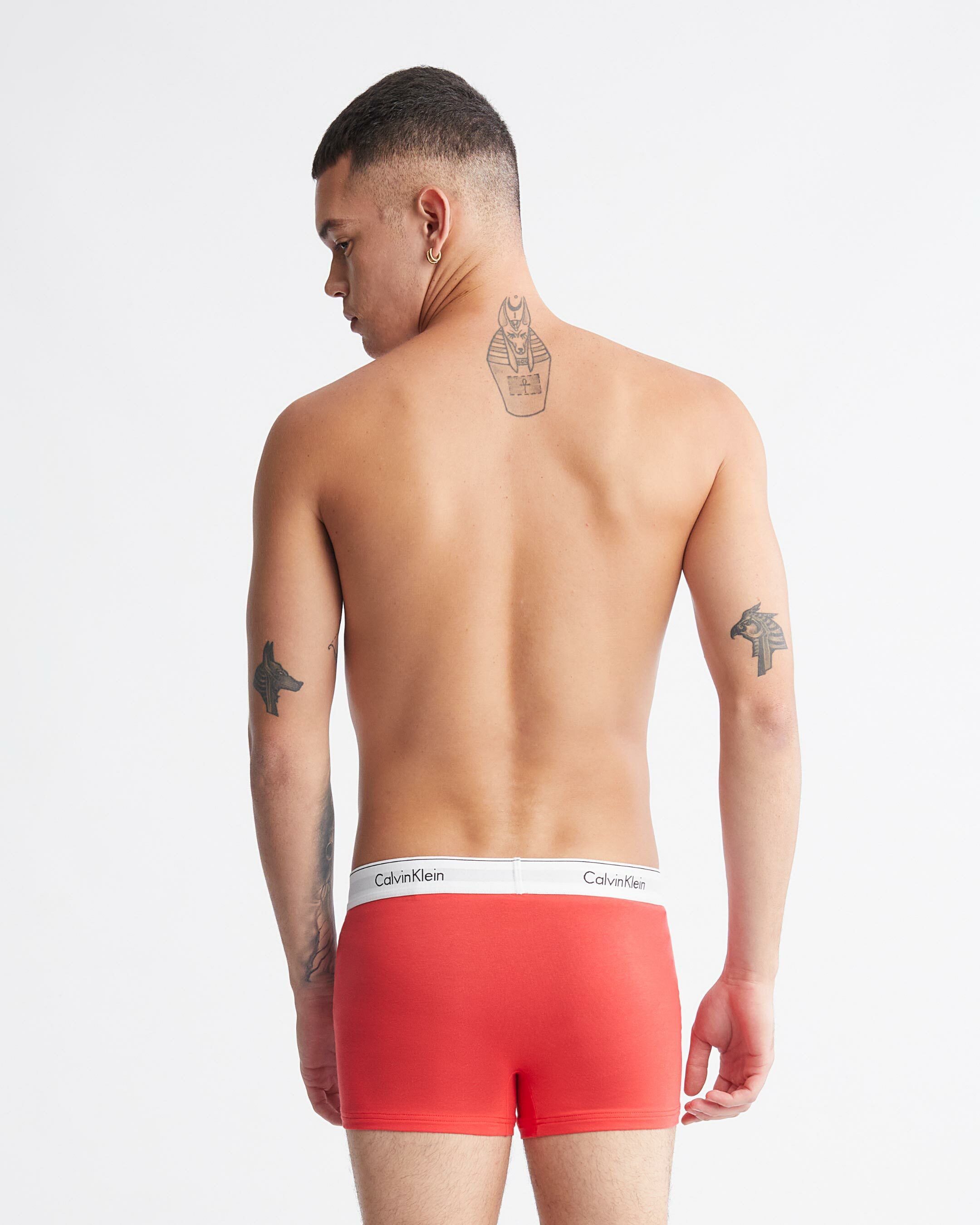 Calvin klein 2 pack trunks sale