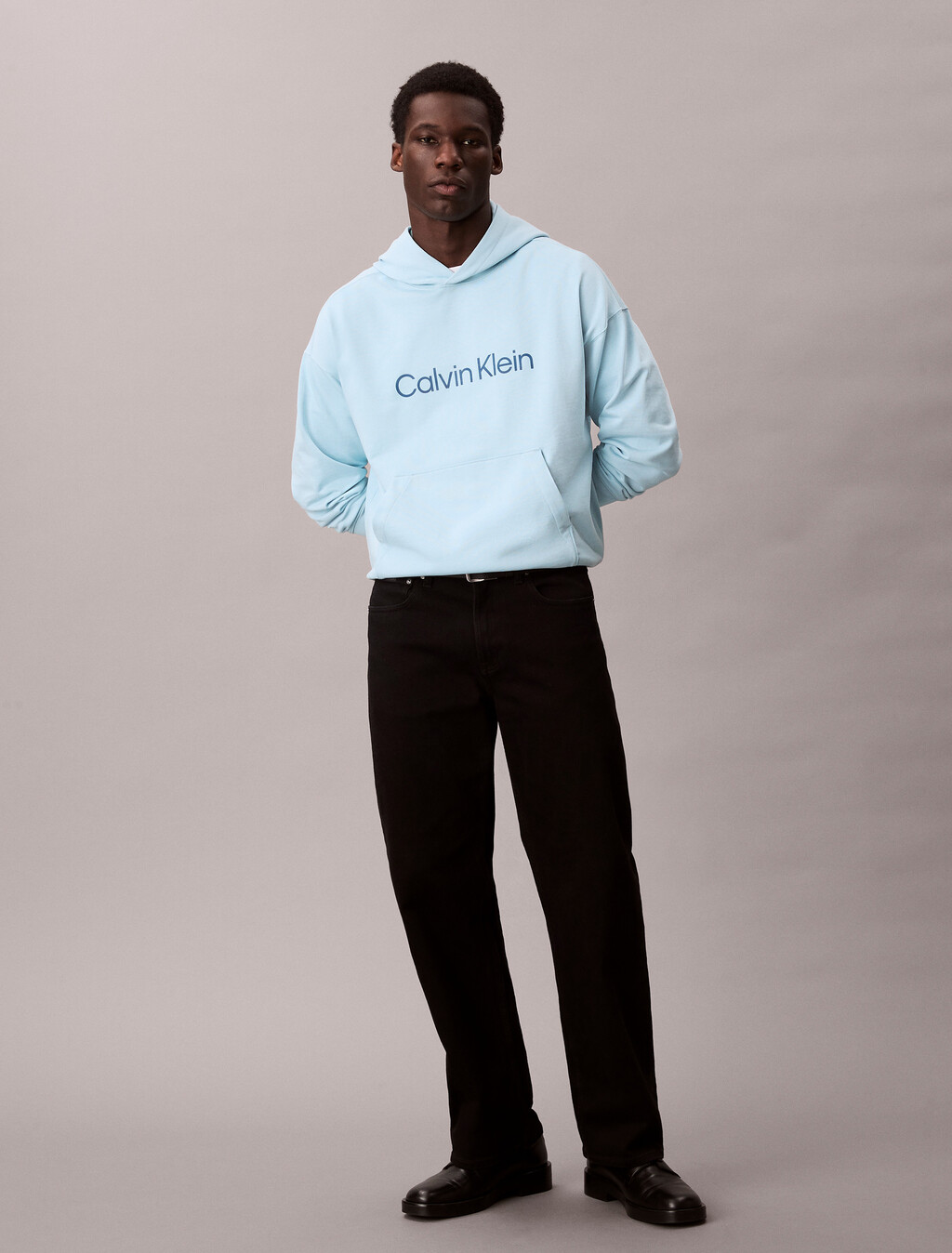 Standard Logo Premium Terry Hoodie, Stratosphere, hi-res