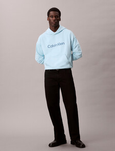 Standard Logo Premium Terry Hoodie, Stratosphere, hi-res