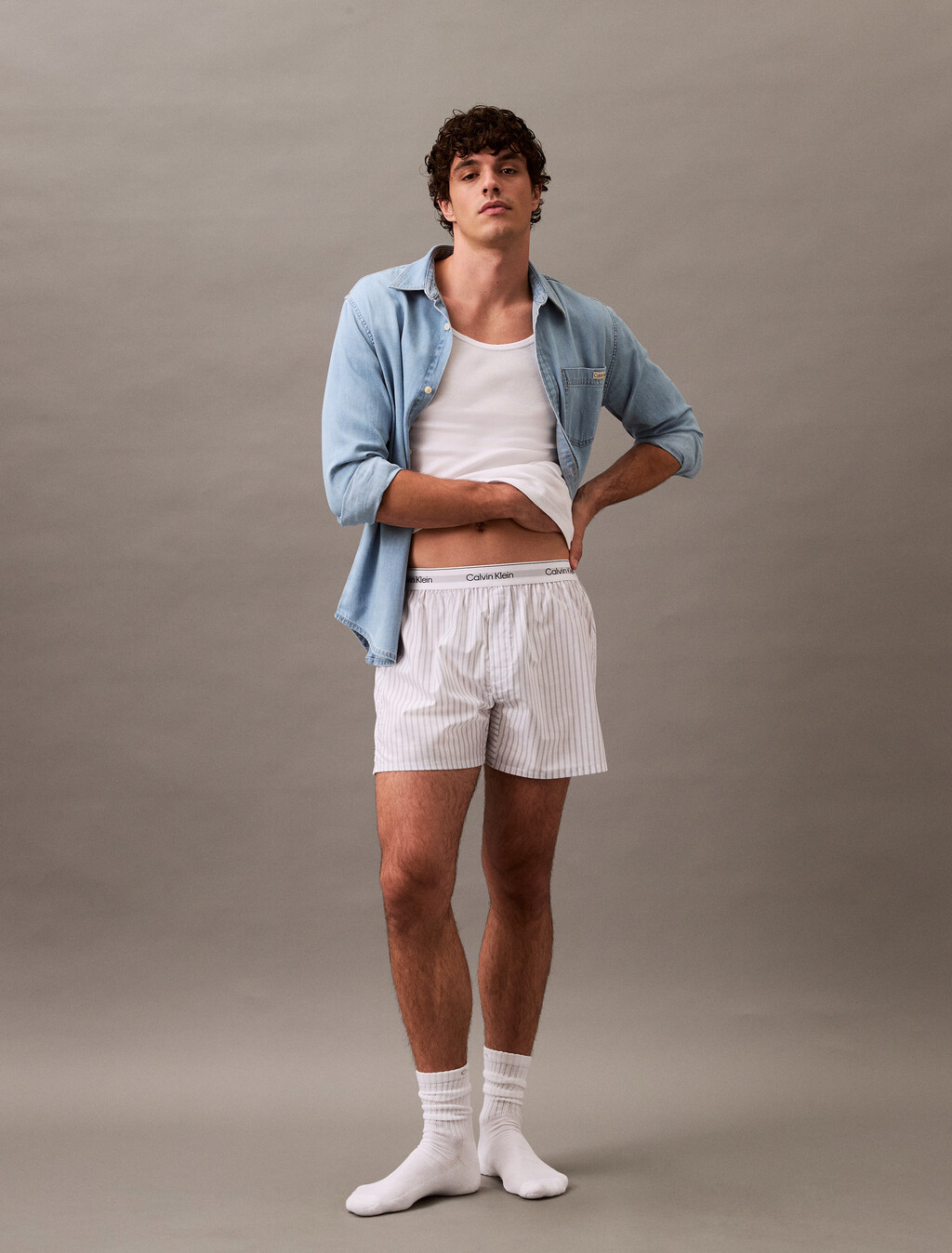 Cotton Poplin Traditional Boxers, STEADY STRIPE_GRISAILLE, hi-res