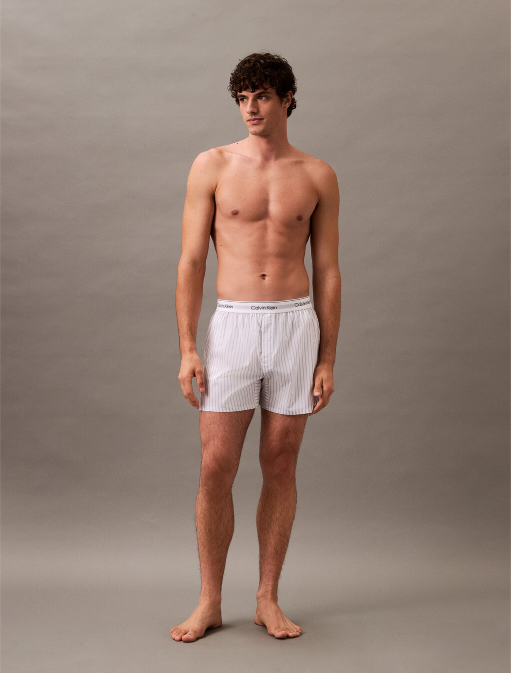 Cotton Poplin Traditional Boxers, STEADY STRIPE_GRISAILLE, hi-res