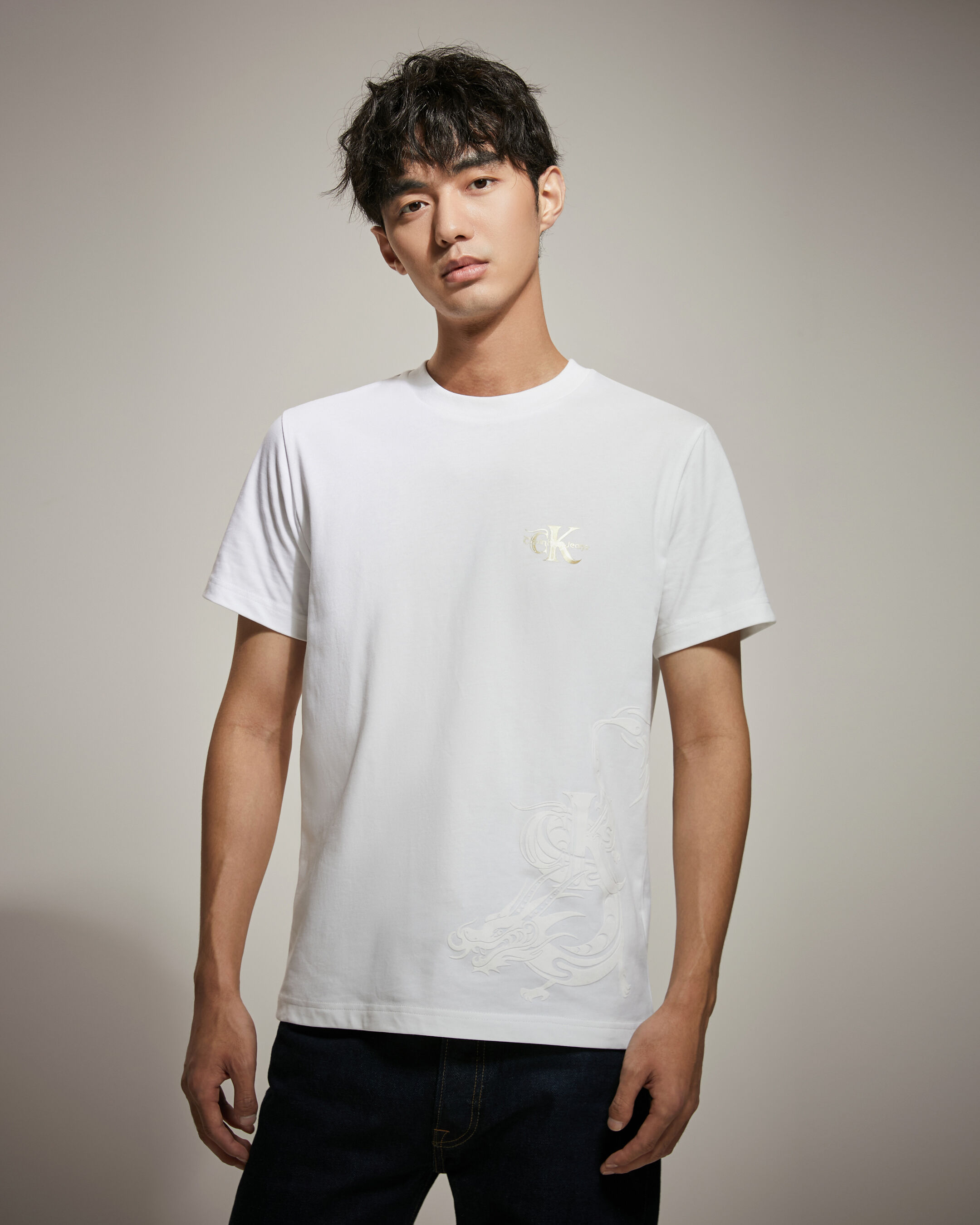 Calvin klein t sales shirt basic